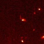 SN 1997ce