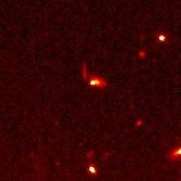 SN 1997ce