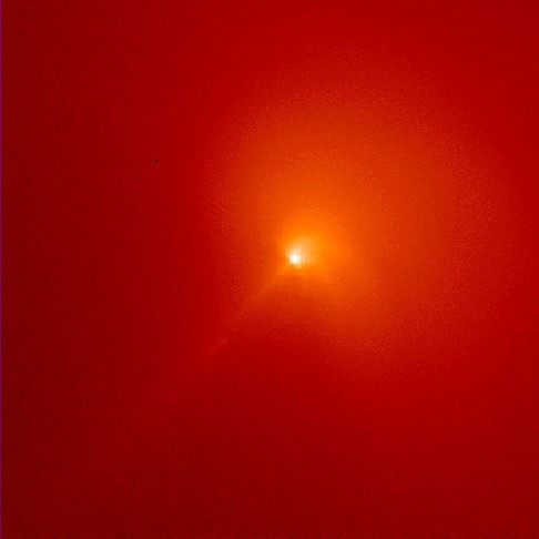 Sunlight Scattered By Dust in Coma of Comet Hyakutake