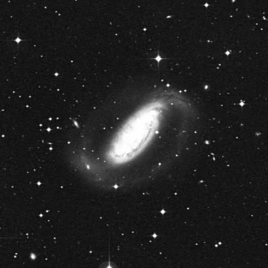 NGC 1808