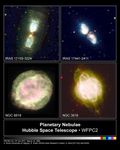 Stellar Metamorphosis: Butterfly-Shaped Nebulae Emerge from Stellar Cocoons