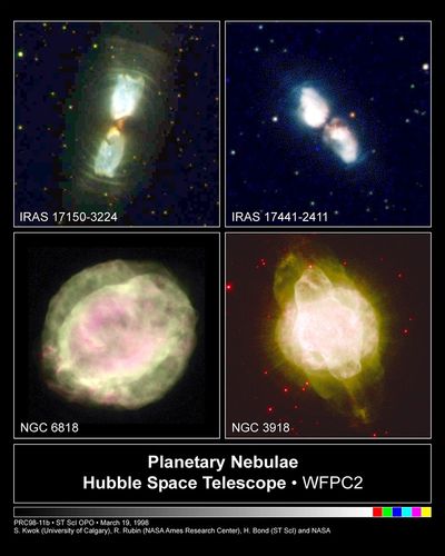 Stellar Metamorphosis: Butterfly-Shaped Nebulae Emerge from Stellar Cocoons