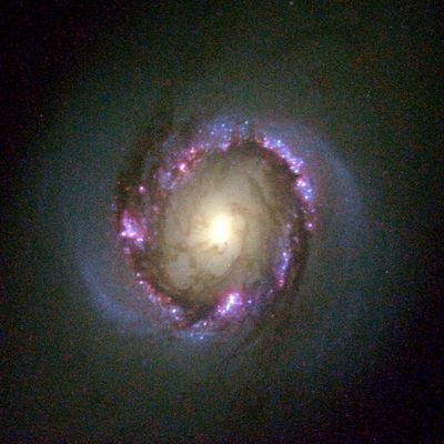 Close-Up View of Galaxy NGC 4314