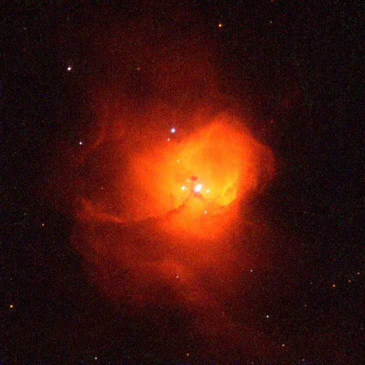 Celestial Maternity Ward N81 in the Small Magellanic Cloud
