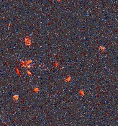 HST035528+09435