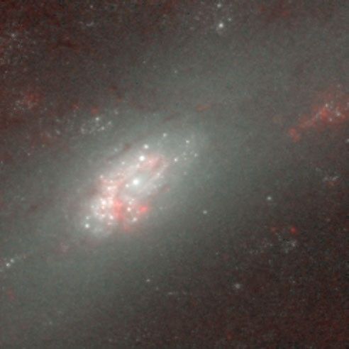 Close-Up of Galaxy NGC 2903 in Infrared