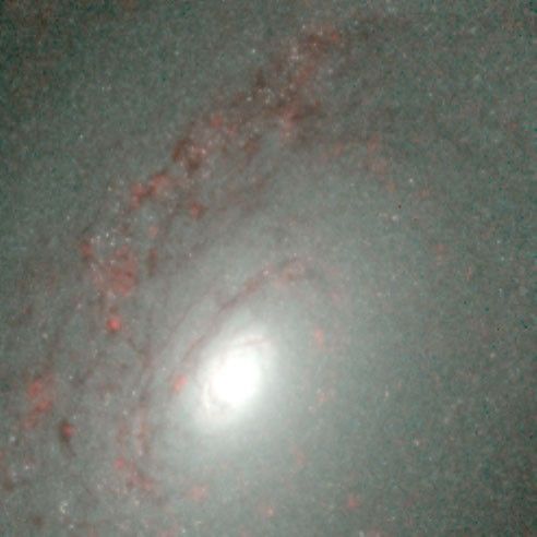 Close-Up of Galaxy NGC 4826 in Infrared