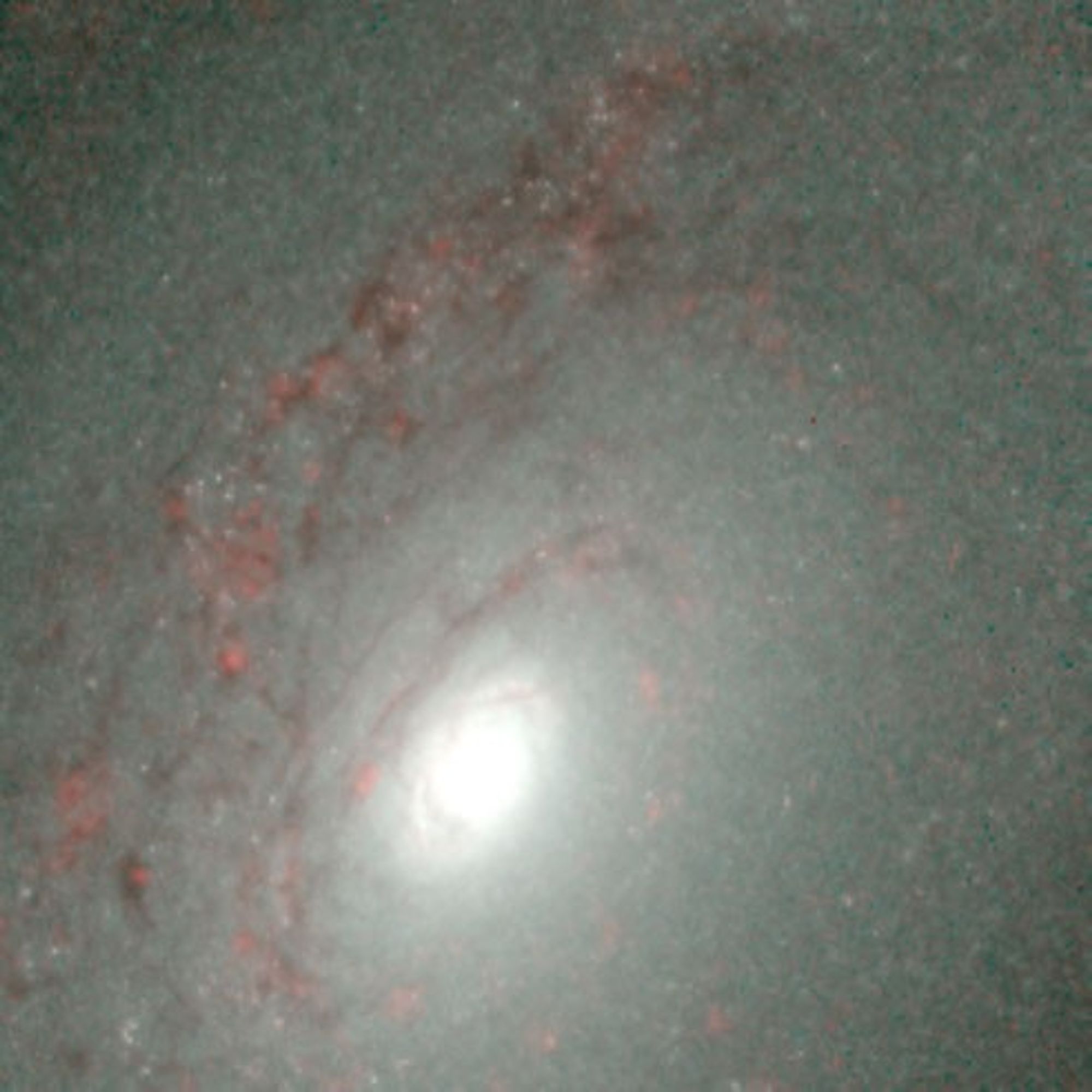 Close-Up of Galaxy NGC 4826 in Infrared