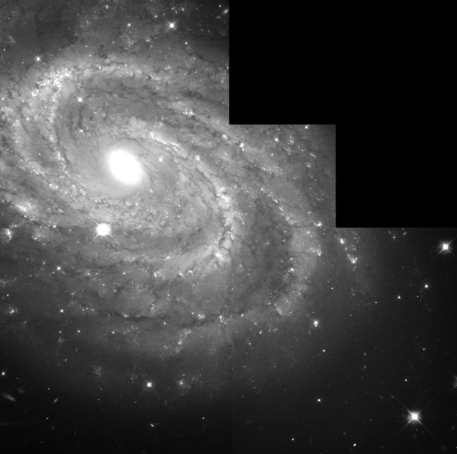 Spiral Galaxy NGC 4603