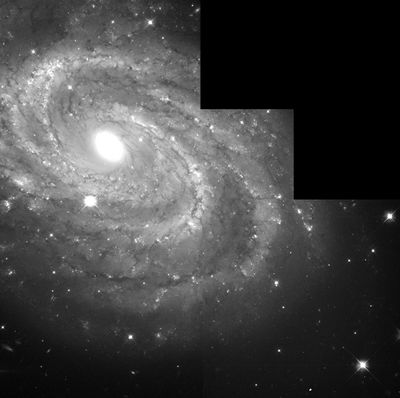 Spiral Galaxy NGC 4603