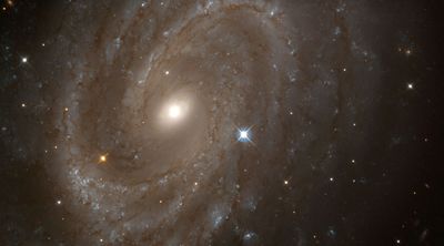 Distant Spiral Galaxy NGC 4603, Home to Variable Stars