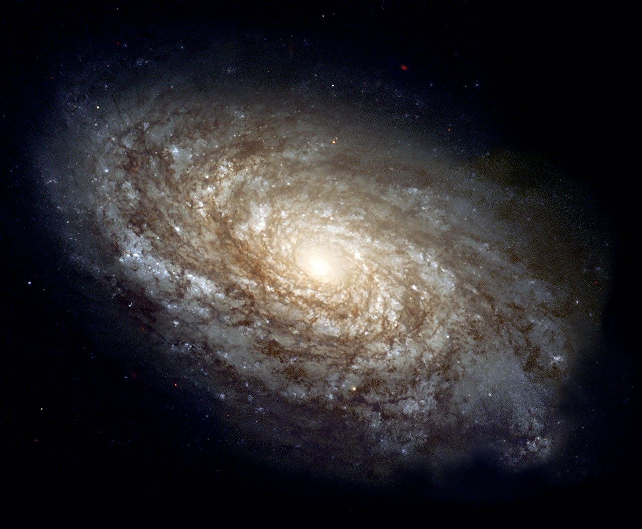 Dusty Spiral Galaxy NGC 4414