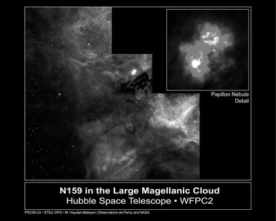 Butterfly-Shaped “Papillon” Nebula (inset) Found in Nebula N159