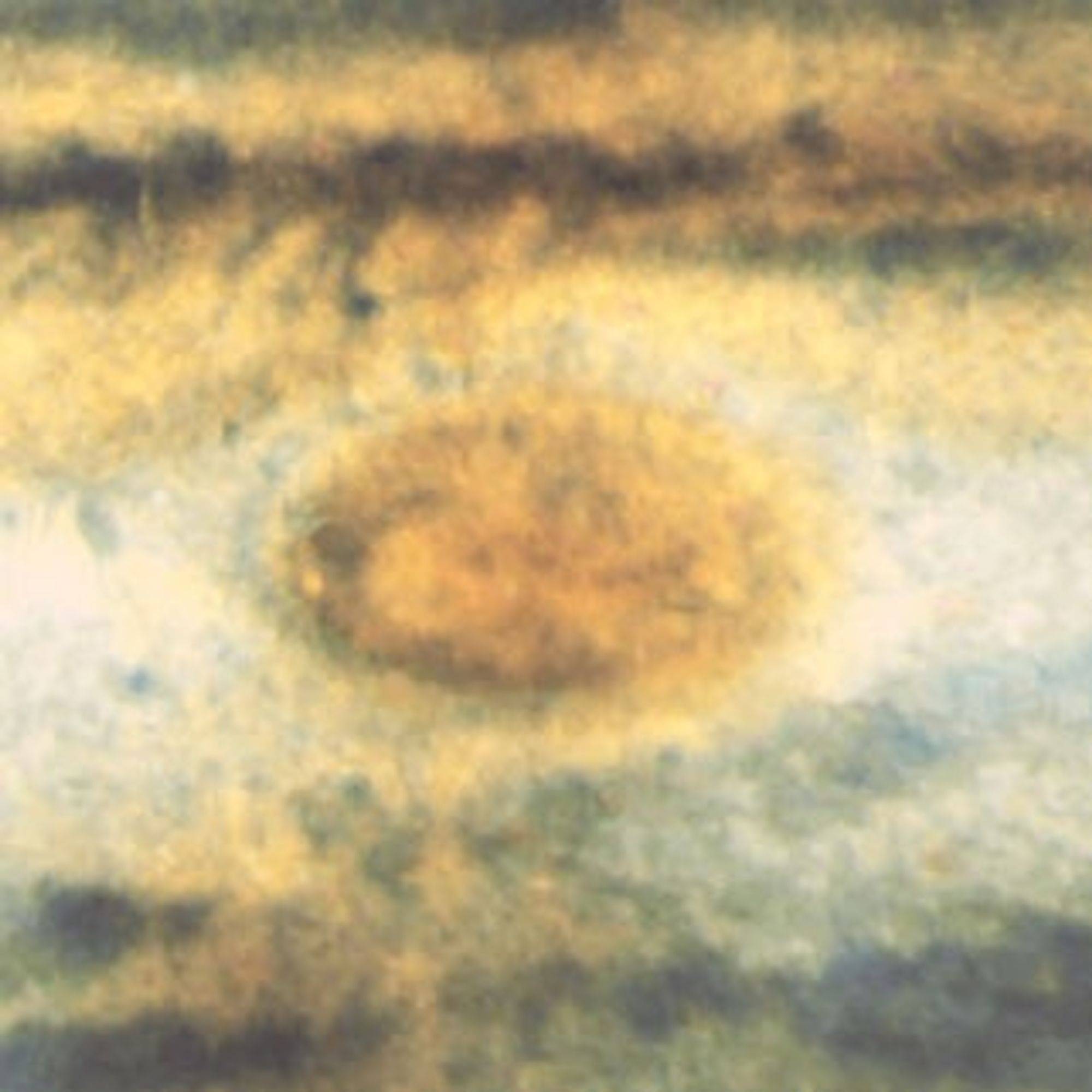 Jupiter WFPC1 May 1992