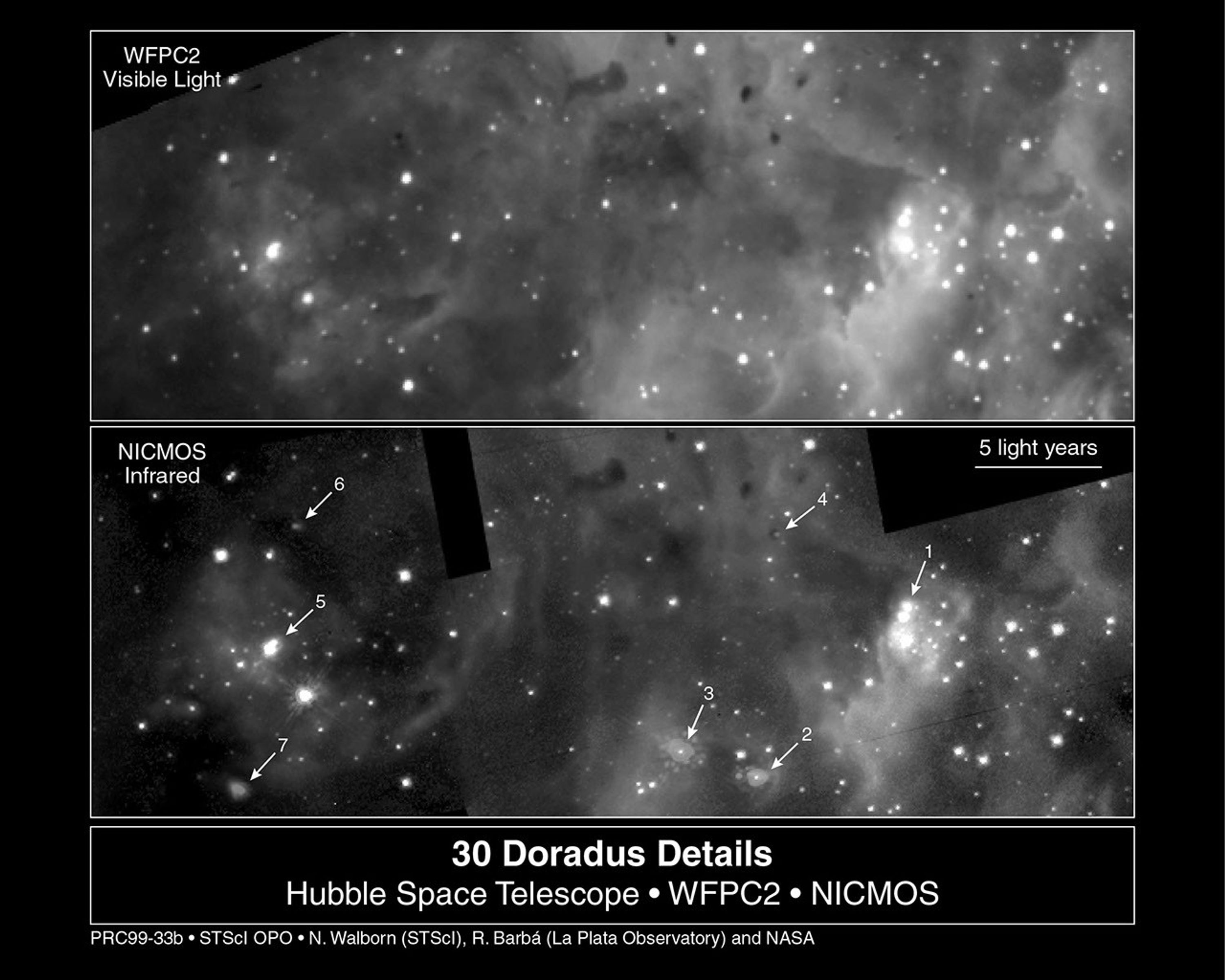 Visible and Infrared Views of Starbirth Region Near Star Cluster R136