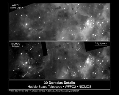 Visible and Infrared Views of Starbirth Region Near Star Cluster R136