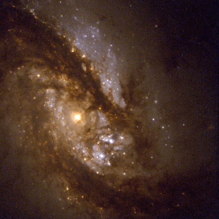 Barred Spiral Galaxy NGC 1365