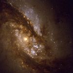 Barred Spiral Galaxy NGC 1365