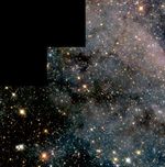 Swarm of Glittering Stars in the Large Magellanic Cloud
