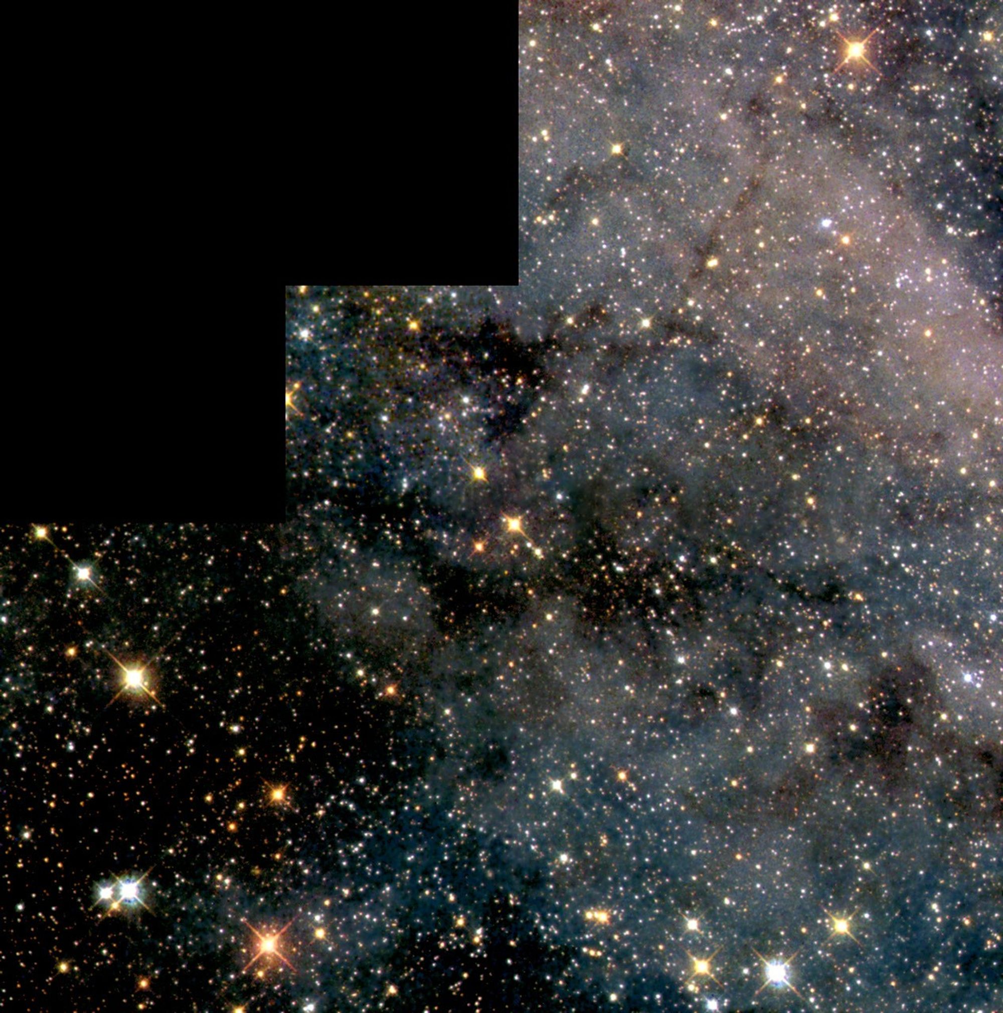 Swarm of Glittering Stars in the Large Magellanic Cloud