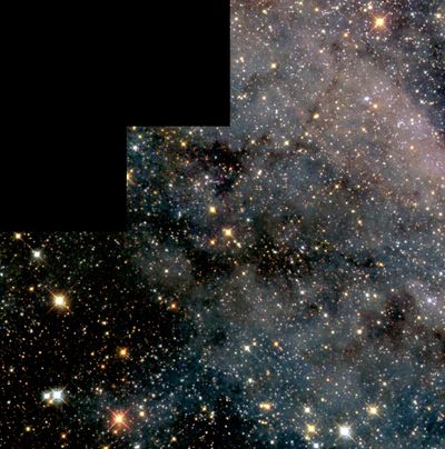 Swarm of Glittering Stars in the Large Magellanic Cloud