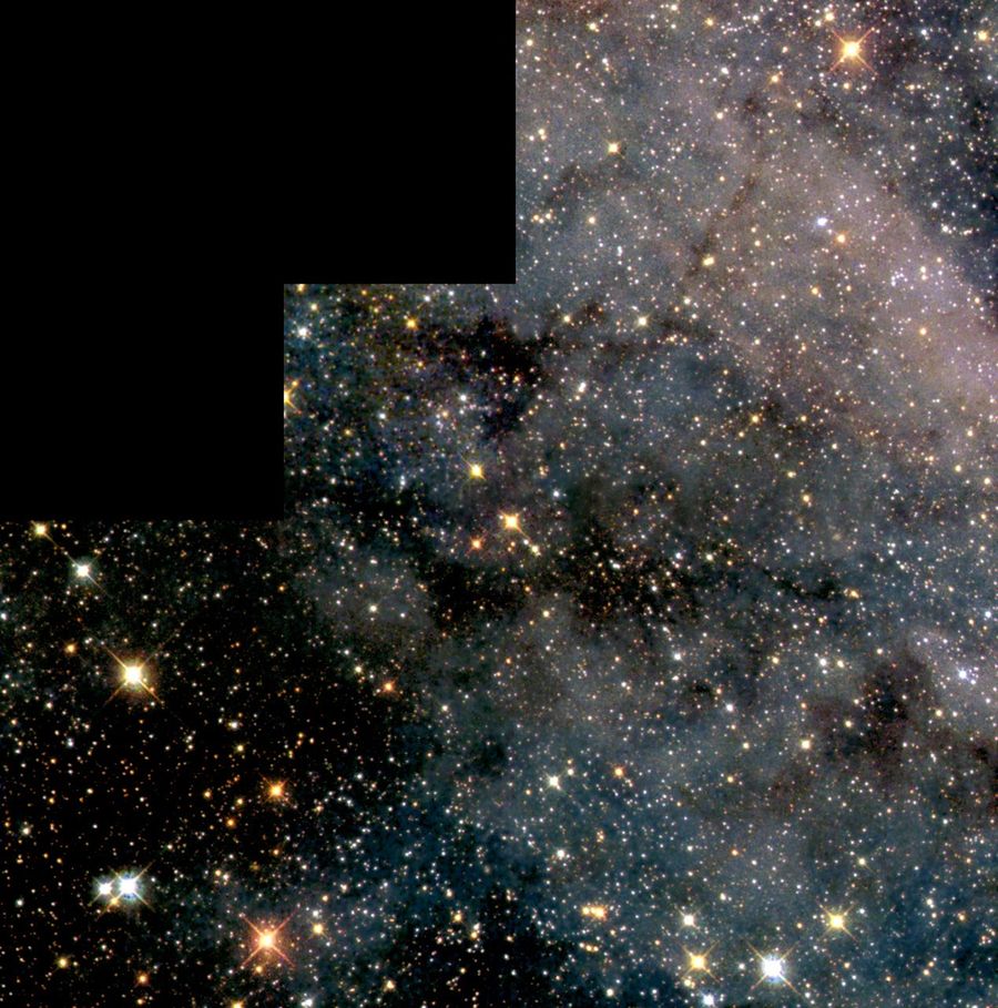 Swarm of Glittering Stars in the Large Magellanic Cloud