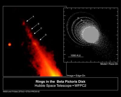Beta Pictoris Disk Hides Giant Elliptical Ring System