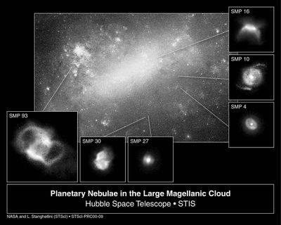 Hubble Surveys Dying Stars in Nearby Galaxy