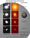 Black Holes: One Size Doesn't Fit All