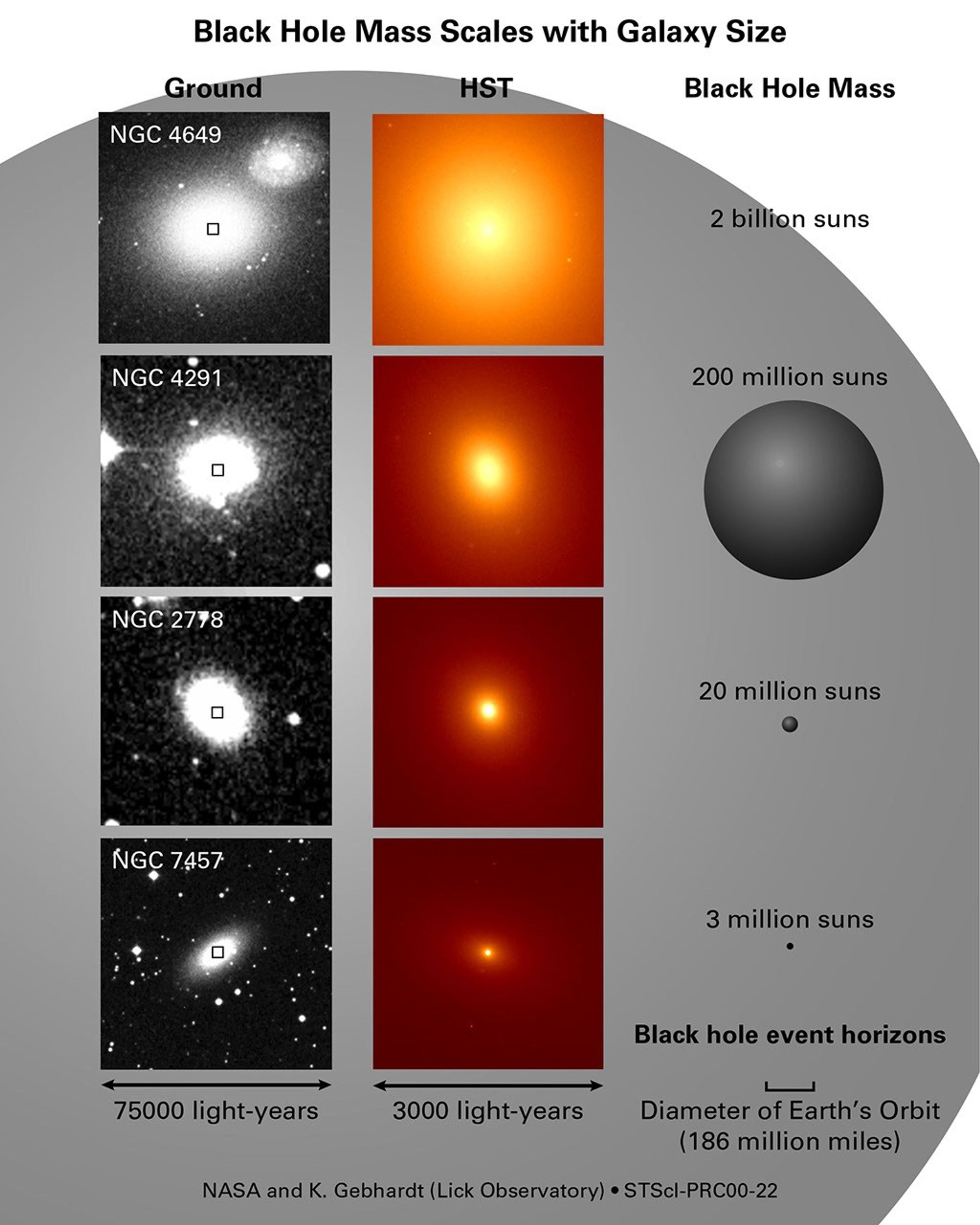 Black Holes: One Size Doesn't Fit All
