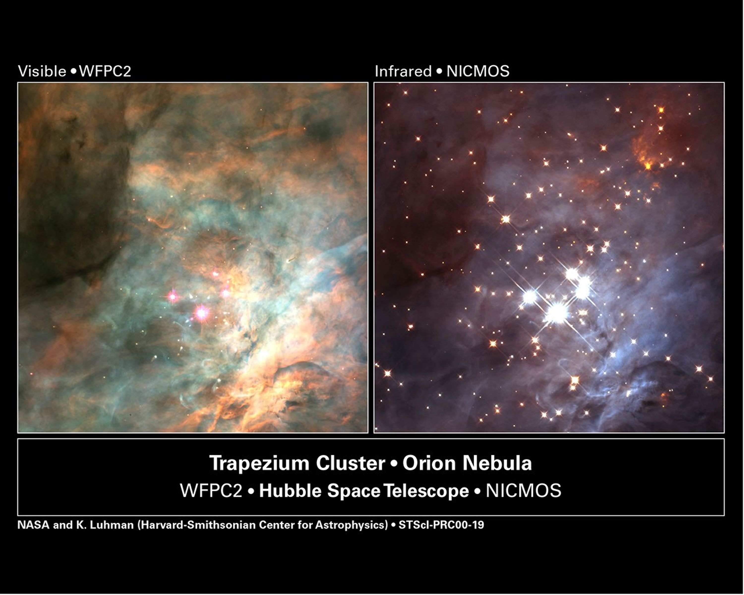 Infrared Image Shows Brown Dwarfs and Infant Stars in Orion Nebula's Trapezium Cluster
