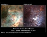 Infrared Image Shows Brown Dwarfs and Infant Stars in Orion Nebula's Trapezium Cluster