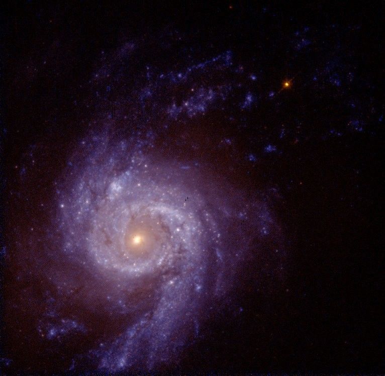 The Central Region of the "Star-Burst" Spiral Galaxy NGC 3310