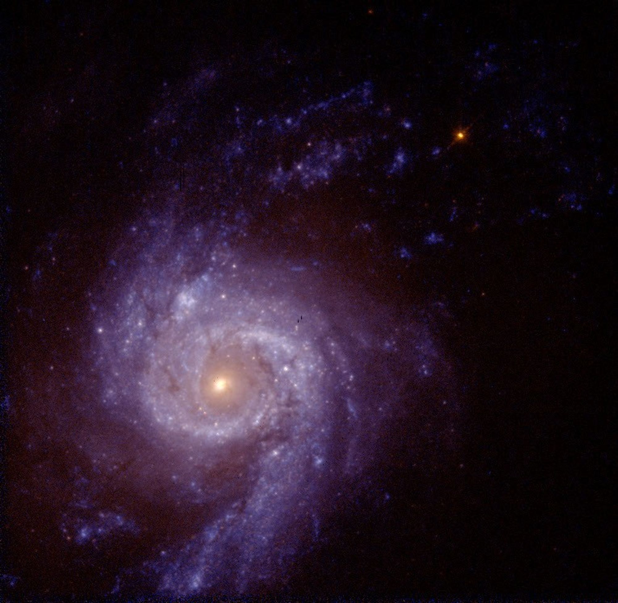 The Central Region of the "Star-Burst" Spiral Galaxy NGC 3310