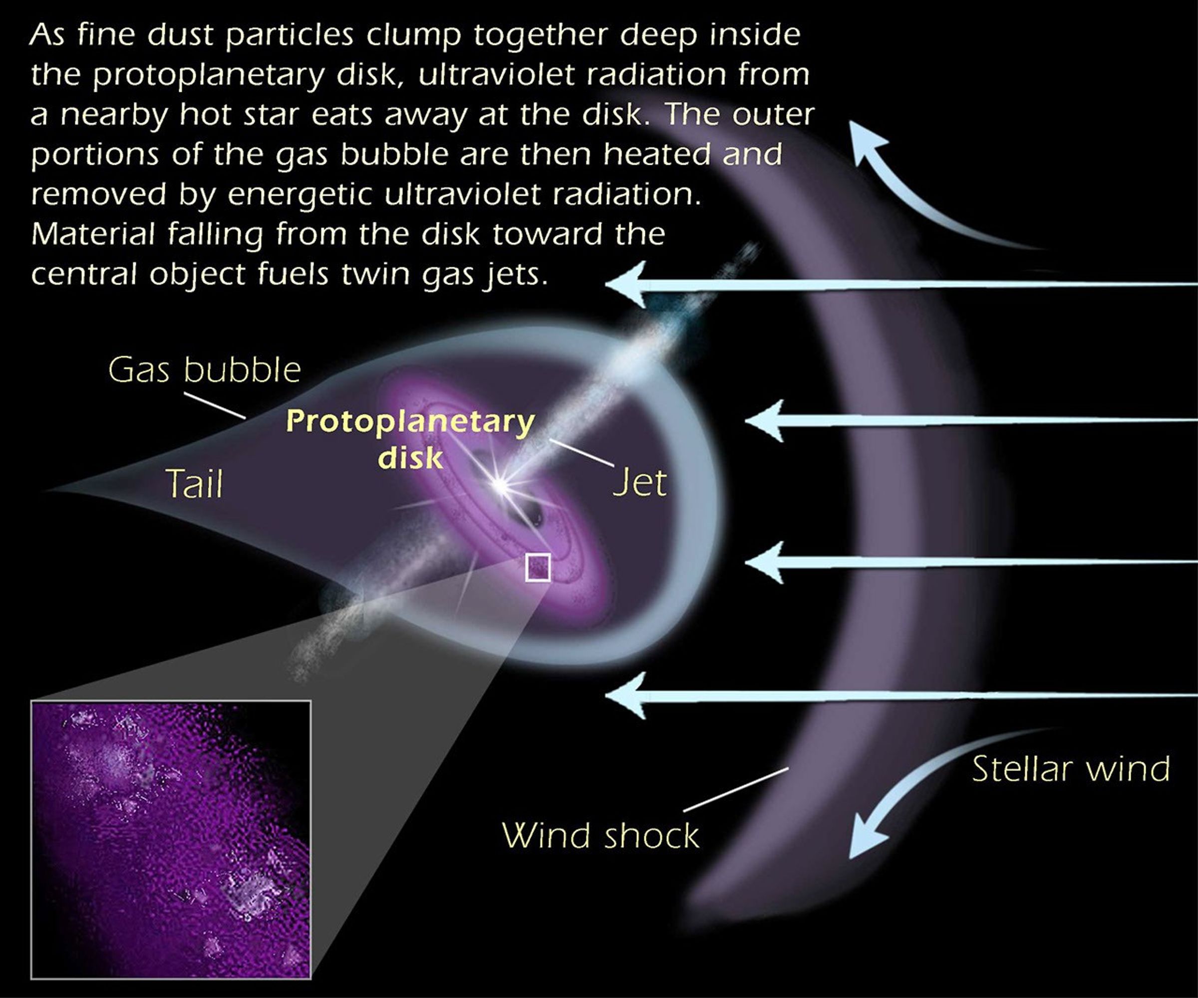Illustration of the Dynamics of a Proplyd