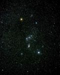 Orion Constellation Star Field