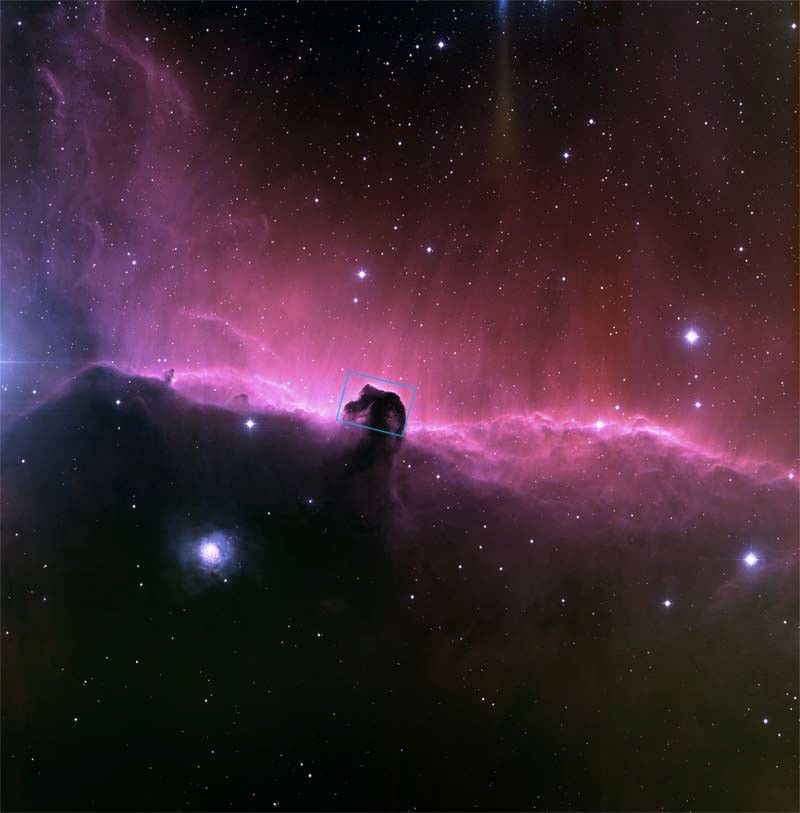 NOAO Image of the Horsehead Nebula