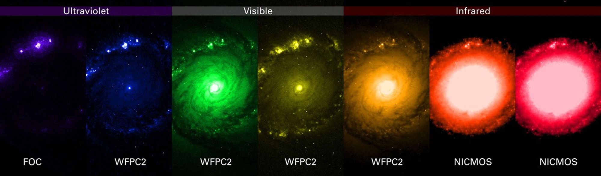 NGC 1512 in Multiple Wavelengths