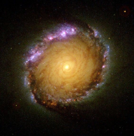 Barred Spiral Galaxy NGC 1512 in Many Wavelengths