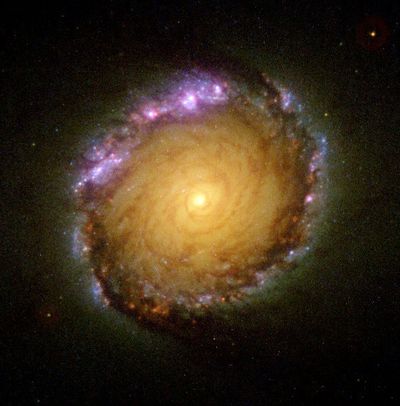 Barred Spiral Galaxy NGC 1512 in Many Wavelengths