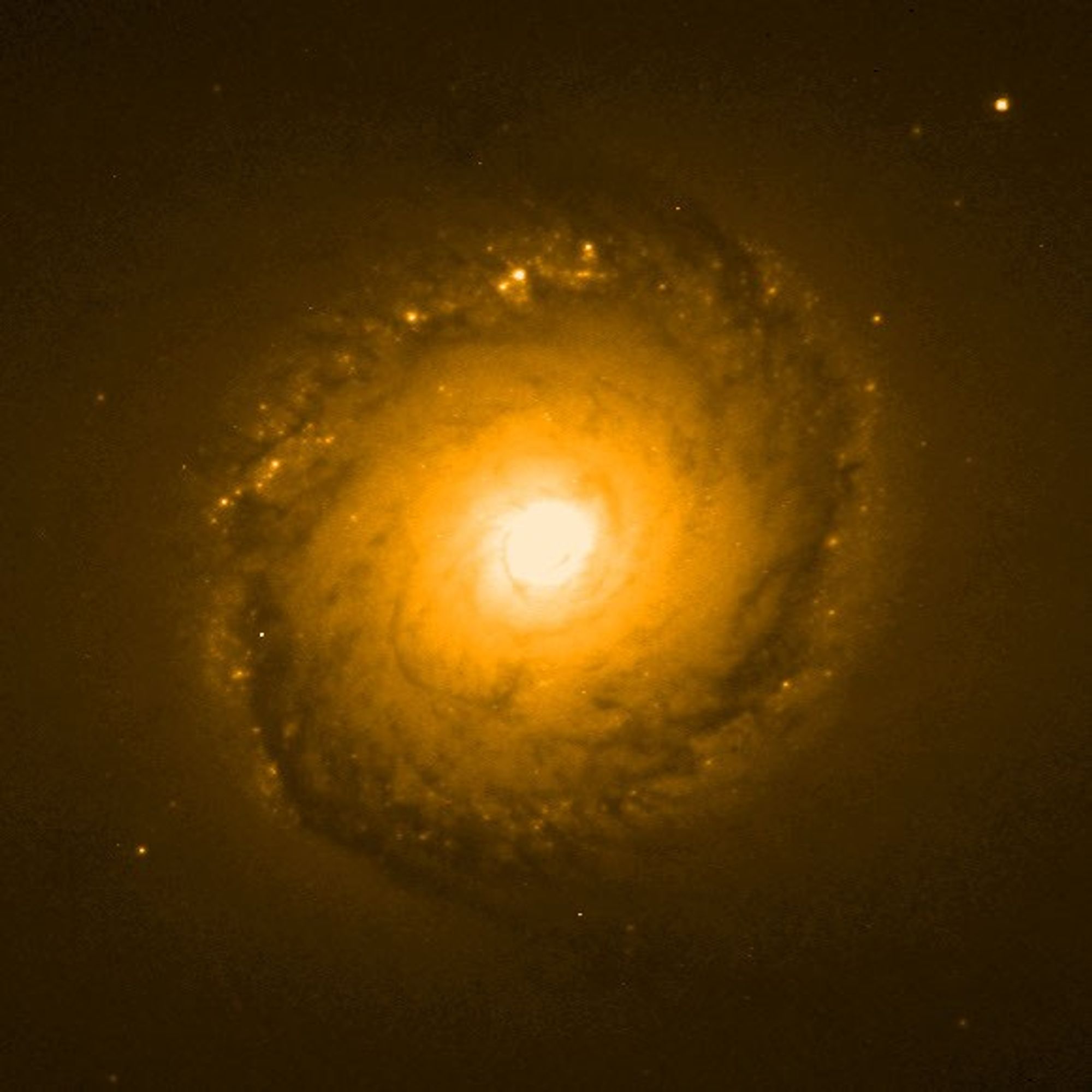 NGC 1512 in Near-Infrared Light