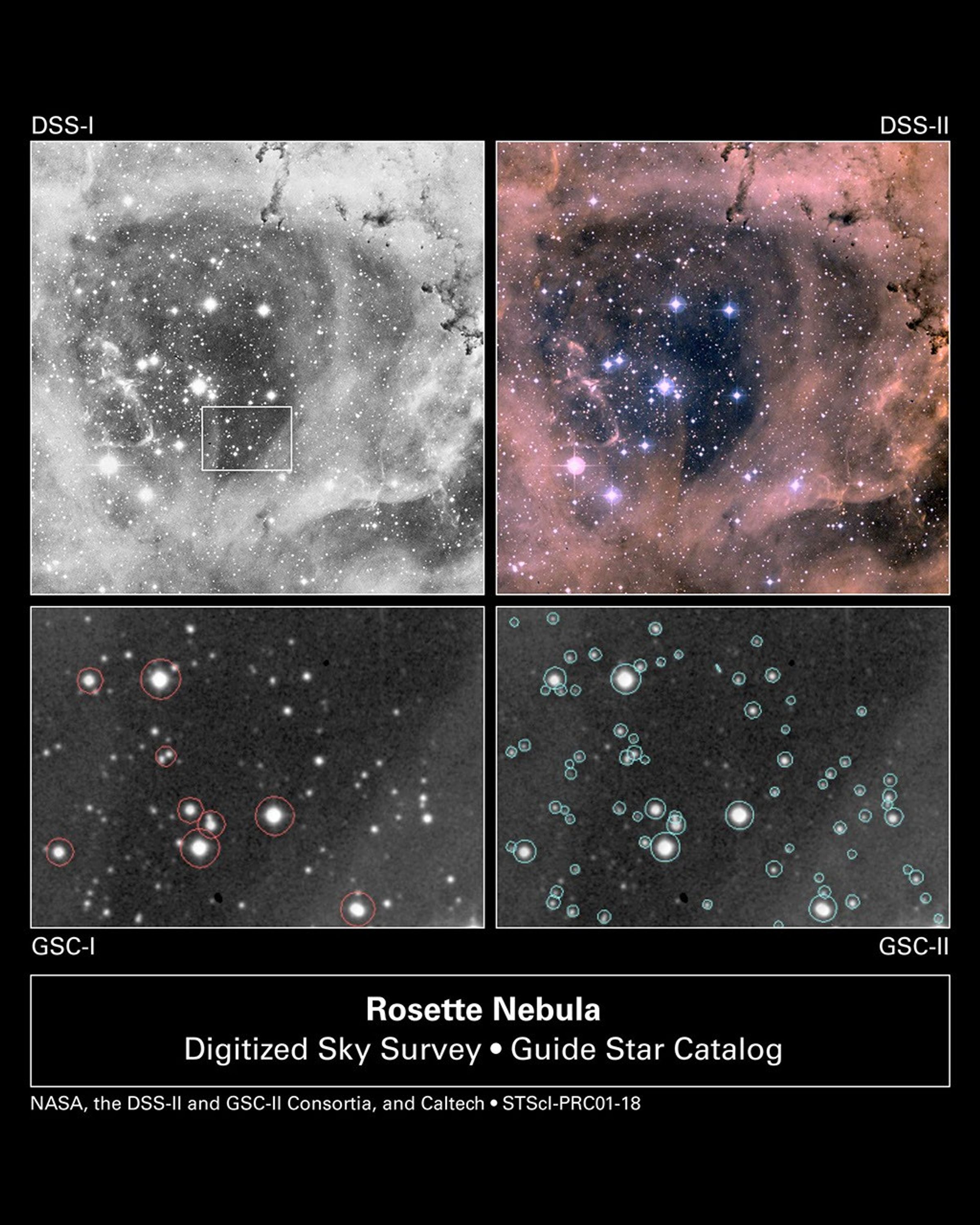 Bigger, Better Catalog Unveils Half a Billion Celestial Objects