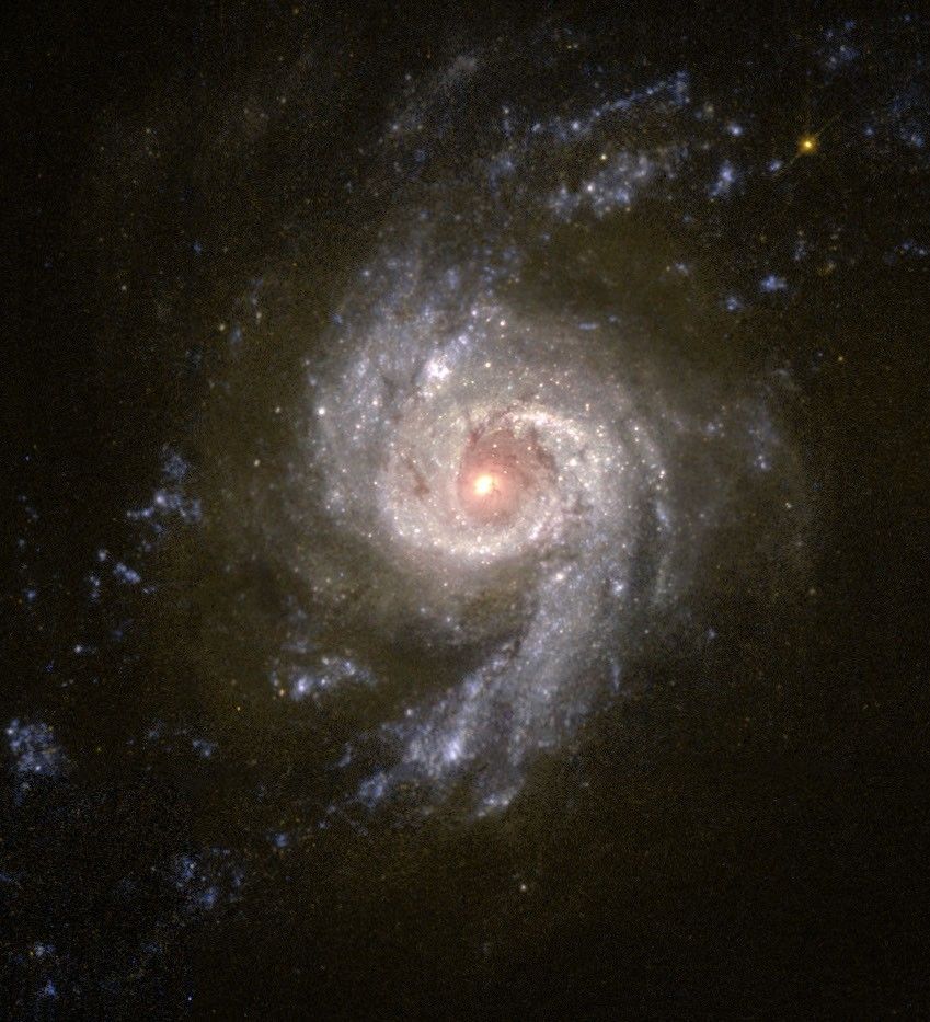Starburst Galaxy NGC 3310 Blazes With Star Formation
