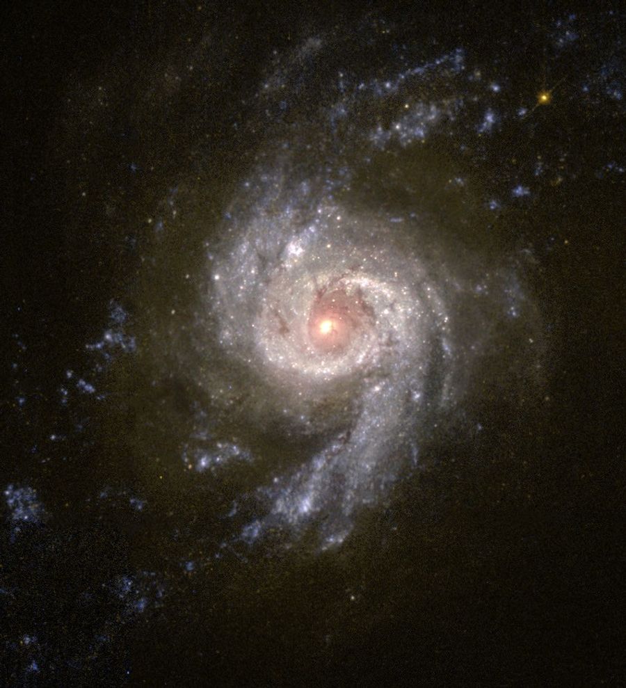 Starburst Galaxy NGC 3310 Blazes With Star Formation