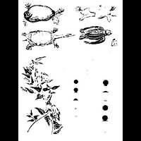 Drawing of 1769 Transit of Venus by Captain James Cook and Charles Green