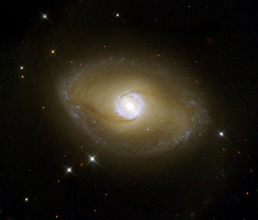Galaxy NGC 6782