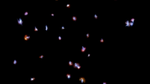 Rapid Star Formation in the Early Universe