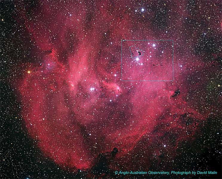 IC 2944