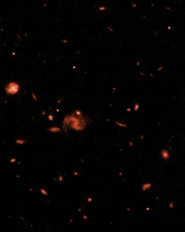 ACS Z-band Simulation of Primordial Galaxies (Annotated)