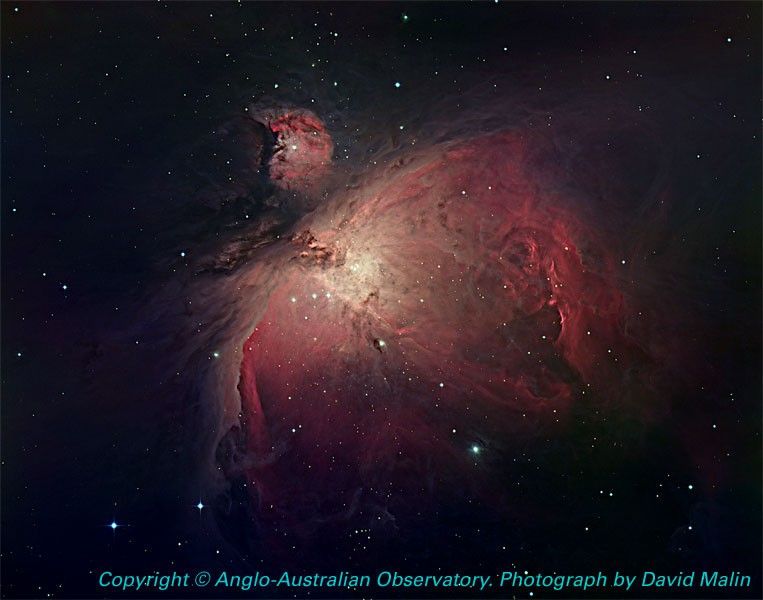 AAO Image of the Orion Nebula